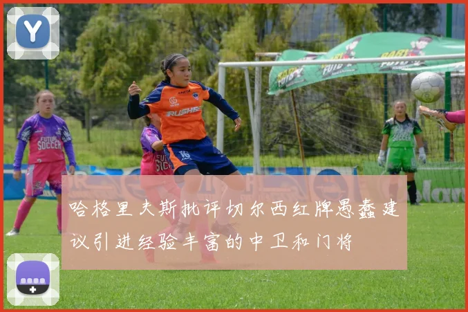 哈格里夫斯批评切尔西红牌愚蠢建议引进经验丰富的中卫和门将