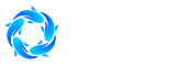 开云app在线体育官网
